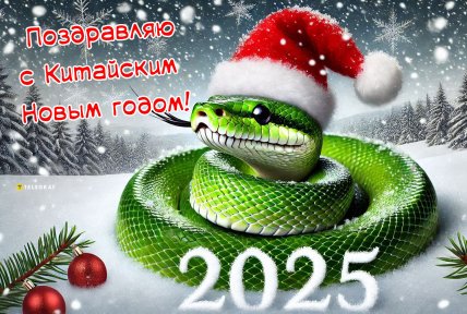 С китайским новым годом 2025